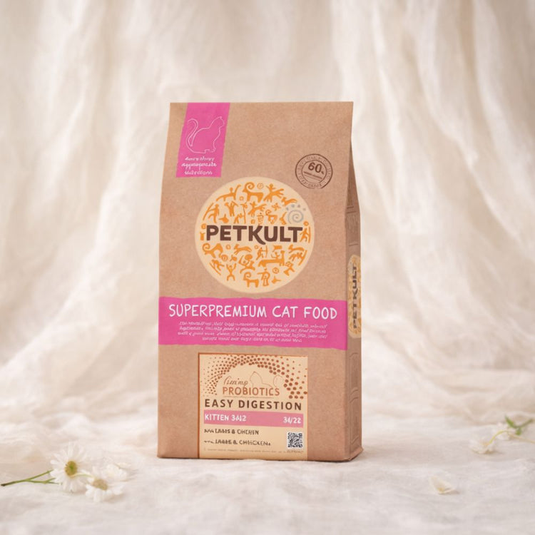 Sucha karma dla kociąt