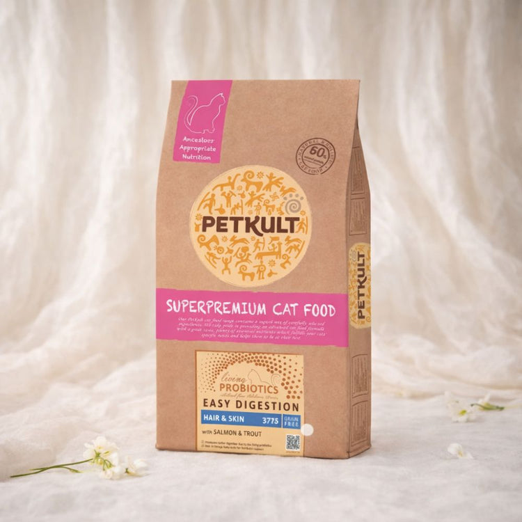 Sucha karma dla kotów